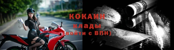 мет Новодвинск