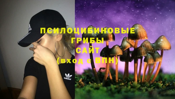 мет Новодвинск