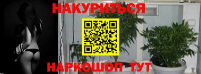 apvp Заволжье