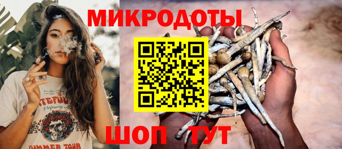 Псилоцибиновые грибы Cubensis  Галлюциногенные грибы Cubensis  Вход с VPN  Урус-Мартан 